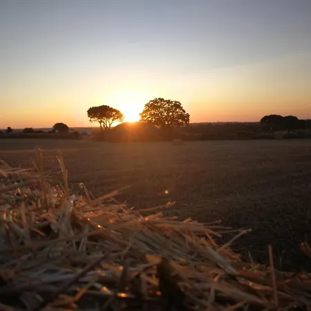 Bed & Breakfast Il Tramonto Santa Lucia (Brindisi)